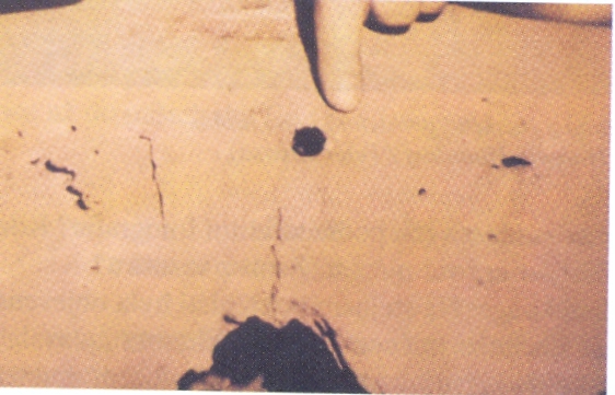 prostřelená lopatka pratura.jpg