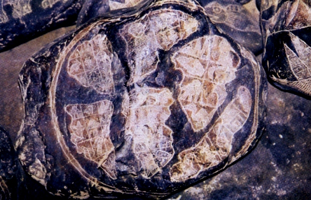 Dávná mapa vyrytá do kamene.jpg